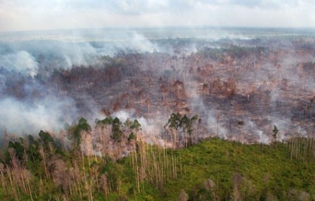 Polda Riau Masih Menunggu Pemeriksaan Berkas Dua Perusahaan Tersangka Karhutla