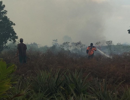 Kebakaran Lahan di Rohil Mencapai 20 Hektare