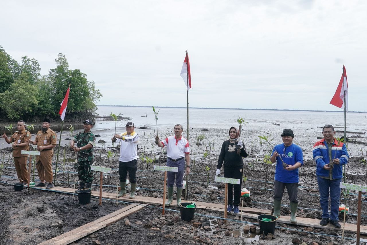 Hari Mangrove Sedunia, Gubri Tanam 200.000 Bibit Mangrove