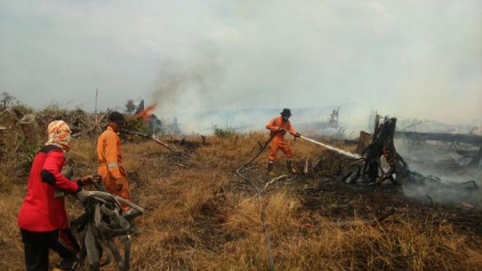 Lagi, 50 Hektare Cagar Biosfer Giam Siak Kecil Terbakar