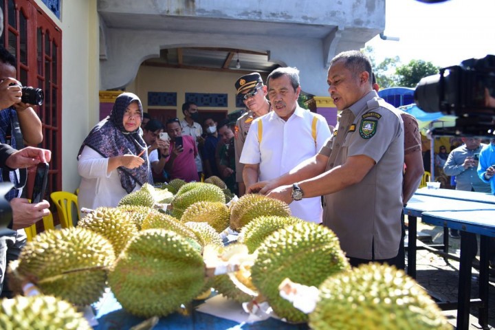 Duren Bengkalis Terkenal Paling Enak Legit