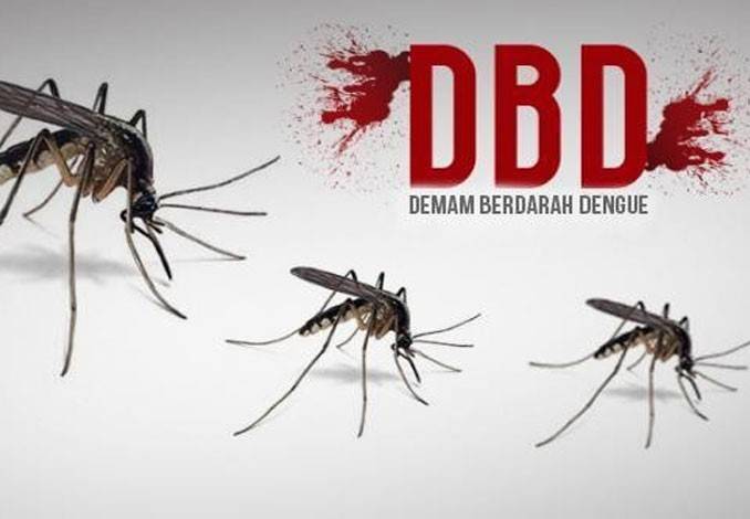 Di Tahun 2023 Sebanyak 15 Warga di Riau Meninggal Akibat DBD
