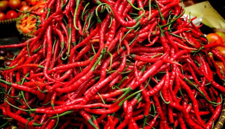 Disperindag Riau Klaim Harga Cabai Cenderung Menurun