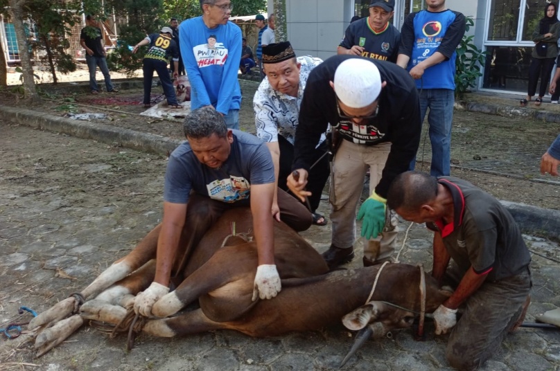 Potong  Hewan Kurban , Hajatan PWI Riau Jadi Ajang Silaturahmi dan Berbagi