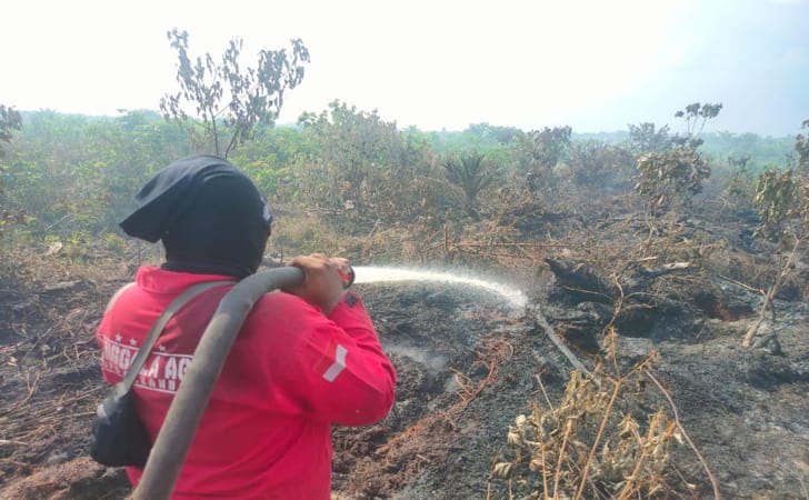 1.159 Titik Api di Wilayah Sumatera, 53 di Antaranya Ada di Riau