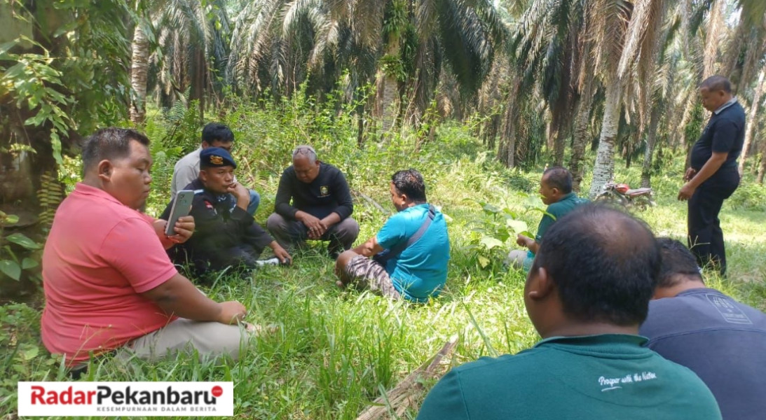 Demi Amankan Aset Perusahaan, PT. SLS Turunkan Satuan Brimob Polda Riau
