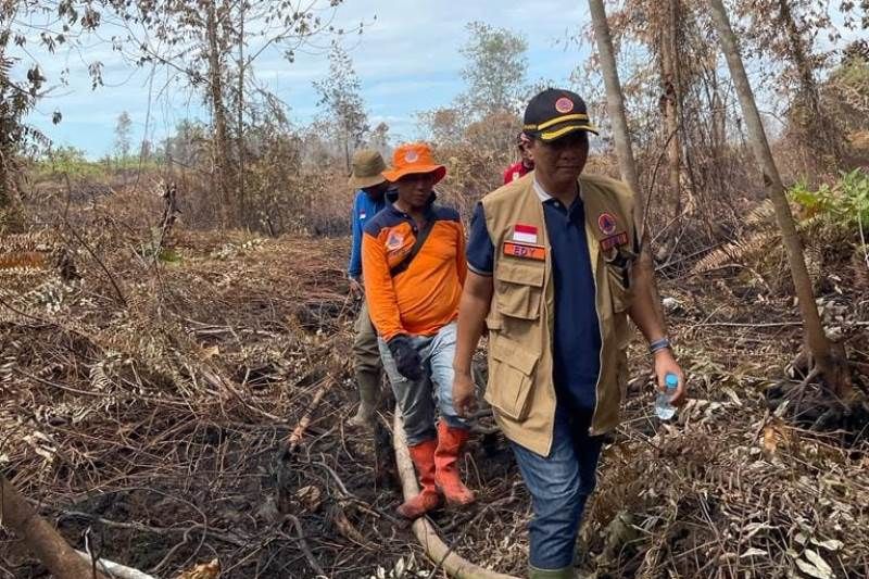 BPBD Riau berupaya kendalikan karhutla