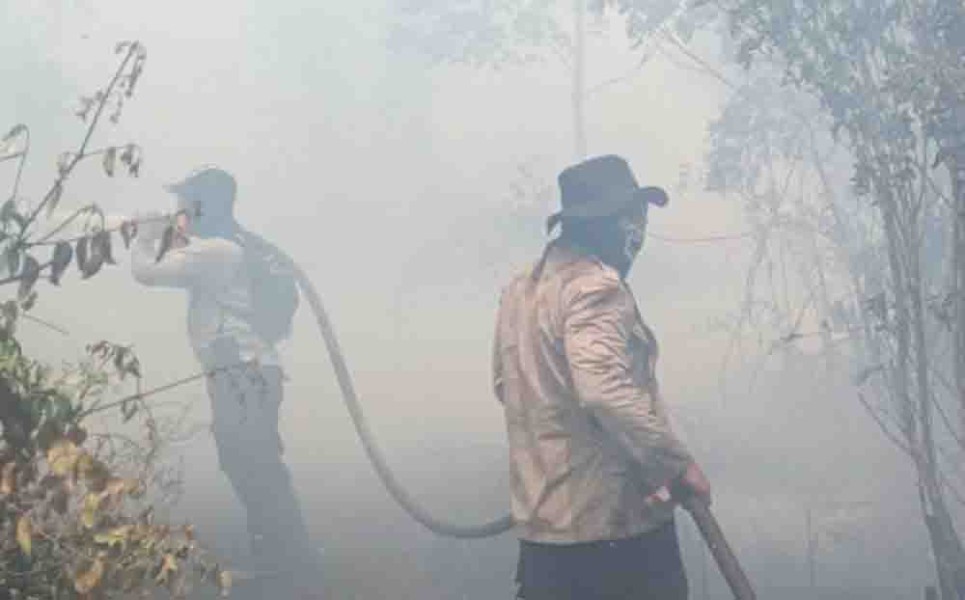 Ancaman Kabut Asap di Bengkalis, 15 Hektar Lahan Gambut Hangus Terbakar
