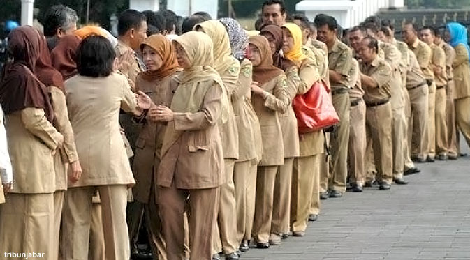 Ternyata Ada Tenaga Honor K2 Palsu ,Titipan Pejabat di Pemprov Riau