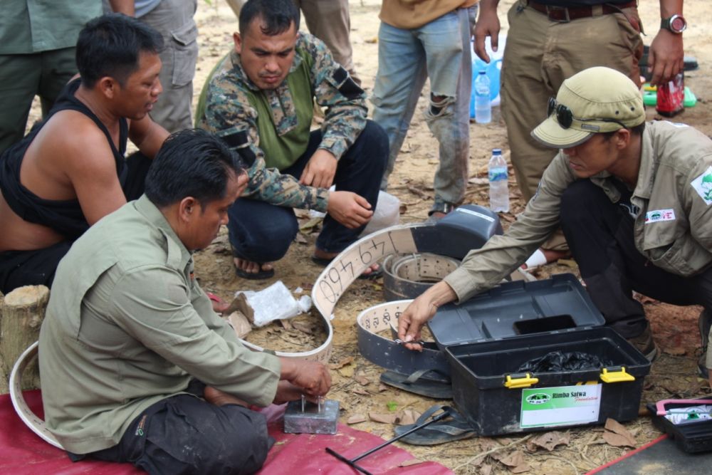 BBKSDS Riau Pasang GPS Collar