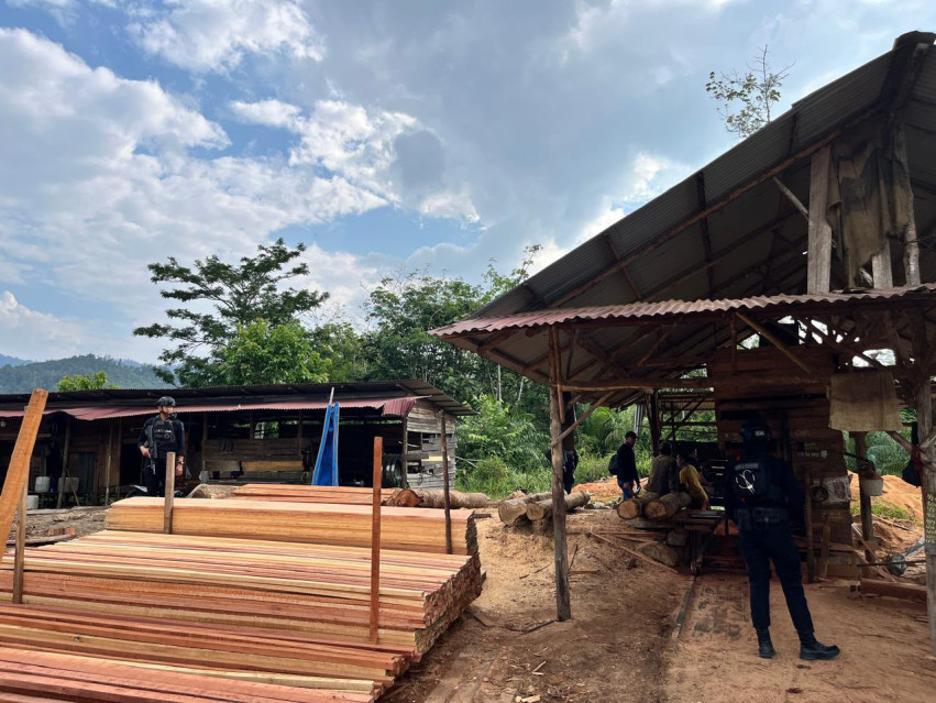 Polda Riau Gerebek Sawmill Ilegal di Kampar, Mandor Jadi Tersangka