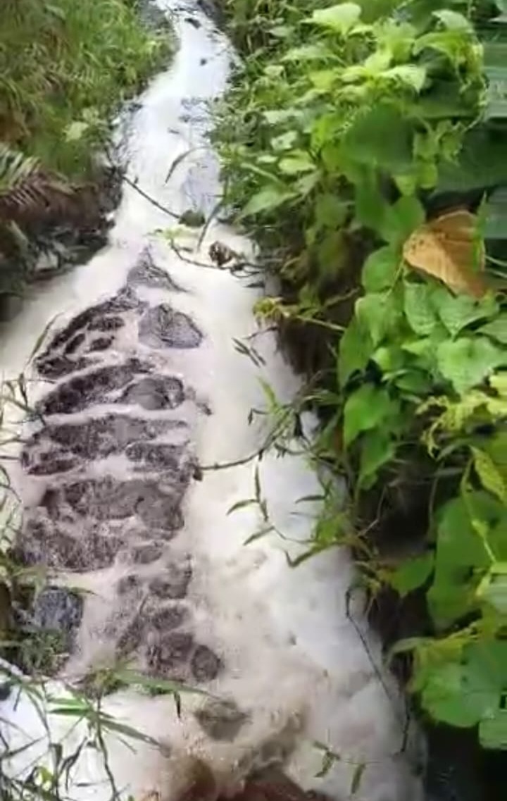 Beberapa Kali Cemari Sungai Cenaku, Managemen PT KAS Tak Tersentuh oleh Hukum