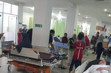 Pemko  Pekanbaru Turunkan Tim Investigasi Usai 9 Warga Pekanbaru Digigit Anjing