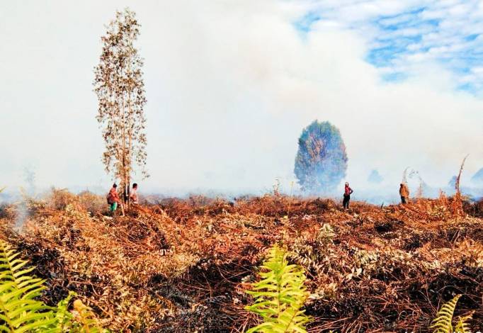 Hingga Juli Sudah 821 Ha Lahan di Riau Terbakar