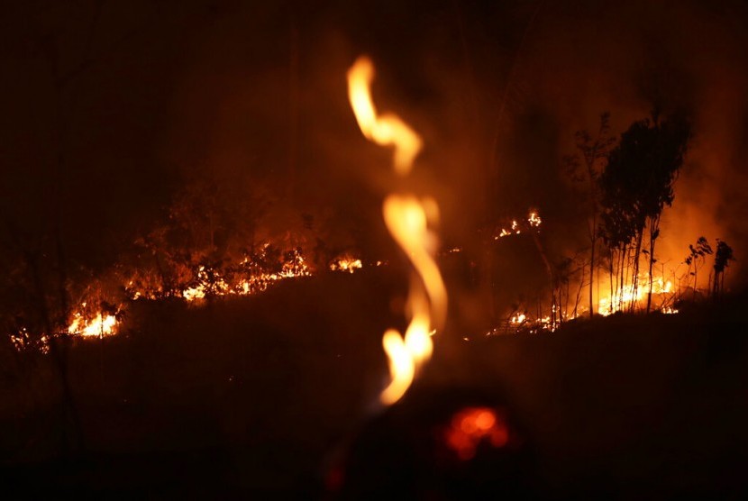 PBB: Kebakaran Amazon Menandai Dunia Hadapi Krisis Serius
