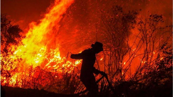 Kebakaran Lahan 2021, Polda Riau Tetapkan 8 Tersangka