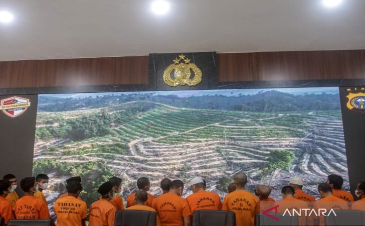 44 Warga Diduga Sengaja Bakar Lahan Mineral Dan Gambut Riau