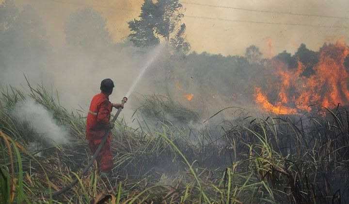 Prabowo Kritik Perda yang Izinkan Bakar Lahan 2 Ha, Sebut Aturan Menipu