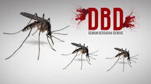 491 Warga Pekanbaru Terjangkit DBD, Tiga Meninggal Dunia