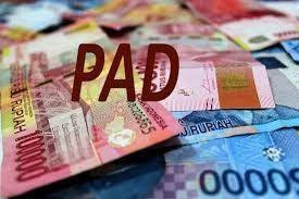 PAD dari Bea Balik Nama Kendaraan di Pekanbaru Semester I Tembus Rp23,72 Miliar