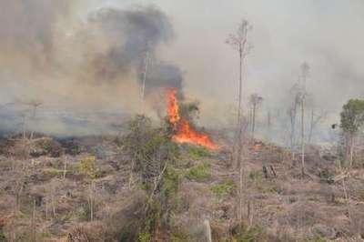 Hari ini Muncul 72 Hotspot di Sumatera, Riau Terbanyak