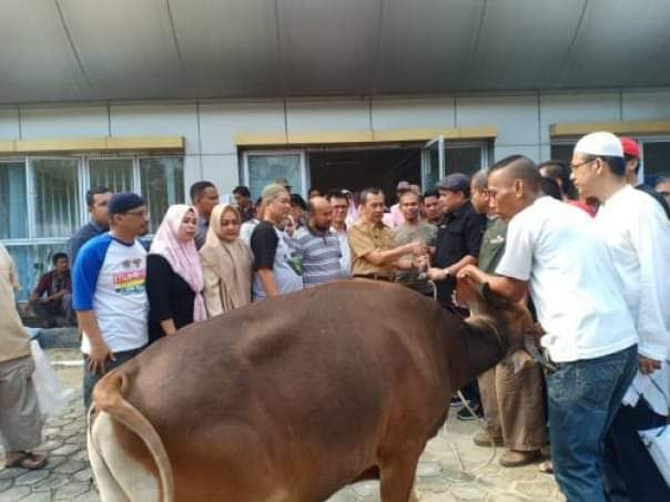 Sabtu Mendatang, PWI Riau akan Sembelih 5 Ekor Sapi
