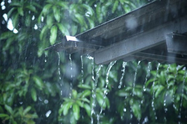 BMKG:Riau Berpotensi Hujan Sepanjang Hari