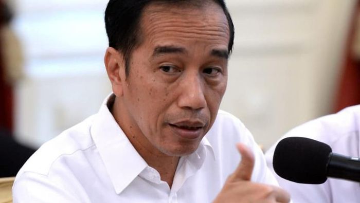 Rampingkan 18 Lembaga, Jokowi Ingin Organisasi Pemerintahan Sederhana
