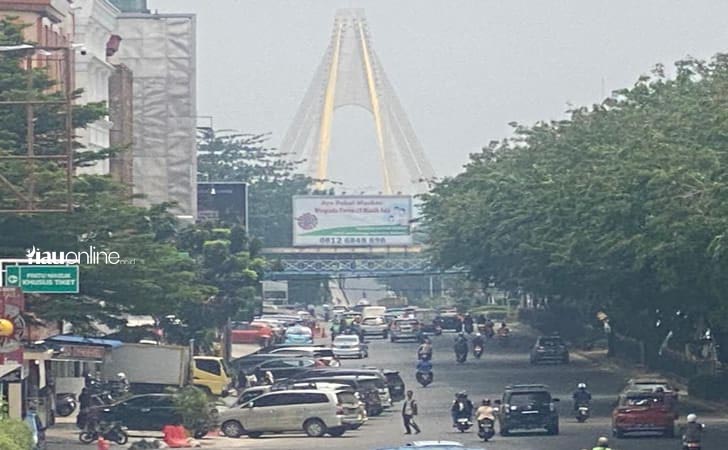 Riau Dihantui Kabut Asap, Pengamat Lingkungan Ungkap Biang Keroknya
