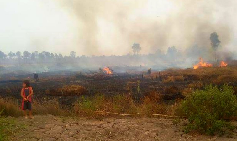 Polda Riau Tangkap 34 Pelaku Karhutla Sepanjang Tahun 2023