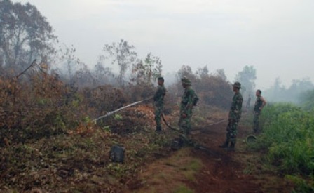 Petugas Gabungan Berjibaku Padamkan Kebakaran Rimbo Panjang Riau