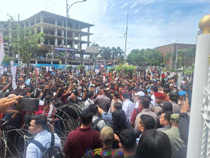 Siapa Dibalik Demo TNTN? Mahasiswa dan Masyarakat Pelalawan Bilang 'Bukan Kami'