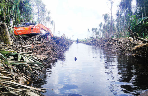 Weak moratorium endangers peatlands in Riau