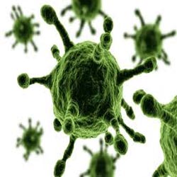 Aneh ! 3 Warga Riau Di Serang Virus MERS Asal Eropa