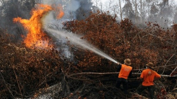 Jikalahari Desak Kapolri Bentuk Tim Independen Usut SP3 Terhadap 15 Perusahaan Diduga Pembakar Hutan