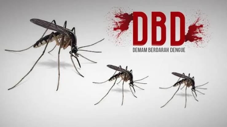 Kota Pekanbaru Tercatat Miliki Kasus Tertinggi DBD di Riau