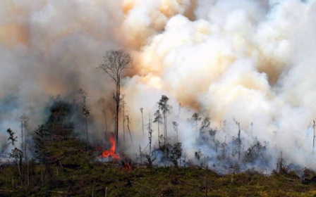 Polda Riau Tetapkan 41 Tersangka Pembakaran Lahan