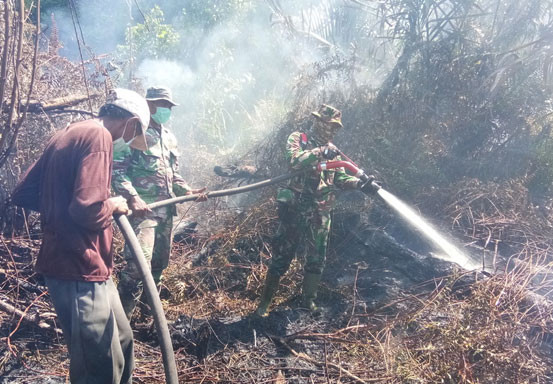 Penyebab Karhutla Rawan Terjadi di Riau