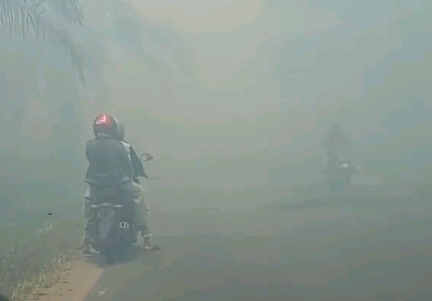 Asap, Udara di Riau Masuk Level Berbahaya