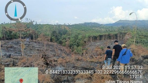 Pelaku Pembakaran Lahan di Inhu Ditangkap Kurang dari 24 Jam