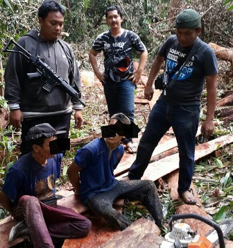 Pembalak Liar Hutan Lindung Kerumutan Tertangkap, 2 Orang Asal Lampung