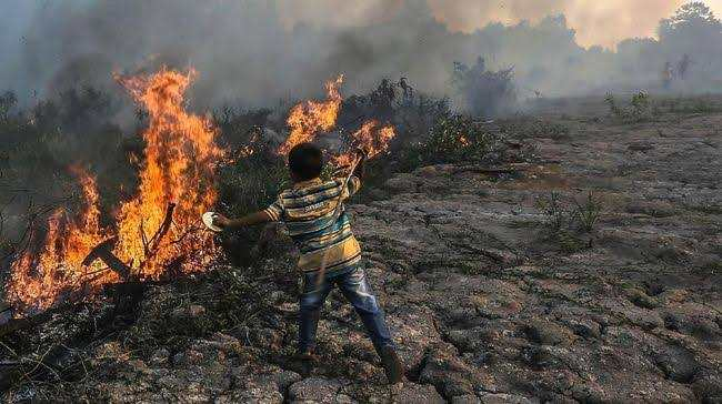 40 Titik Panas Terdeteksi di Riau, Siak Terbanyak