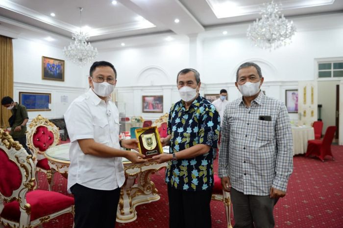 Gubri Gelar Pertemuan Dengan Kepala OJK Riau