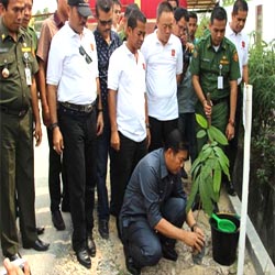 Walikota Pekanbaru dan REI Gelar Fogging Serta Tanam Pohon di Kelurahan Simpang Baru