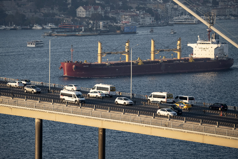 Erdogan dan Putin Bahas Koridor Pengiriman Biji-bijian