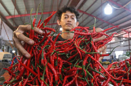 DPRD Pekanbaru Desak Intervensi Cepat Usai Harga Cabai Tembus Rp130 Ribu