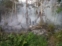 Alamak 45 Hotspot Terpantau Di Riau, Bengkalis-Meranti Siaga Darurat Karhutla