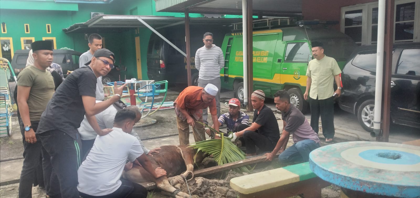 Sambut Idul Adha 2022, Kejari Meranti Waluyo, SH MH Kurban 1 Ekor Sapi 