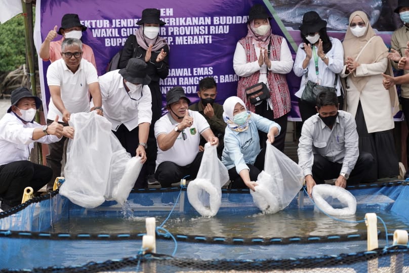 Bupati Meranti HM Adil Bersama Asisten Menteri Kelautan dan Perikanan Panen Kakap Putih