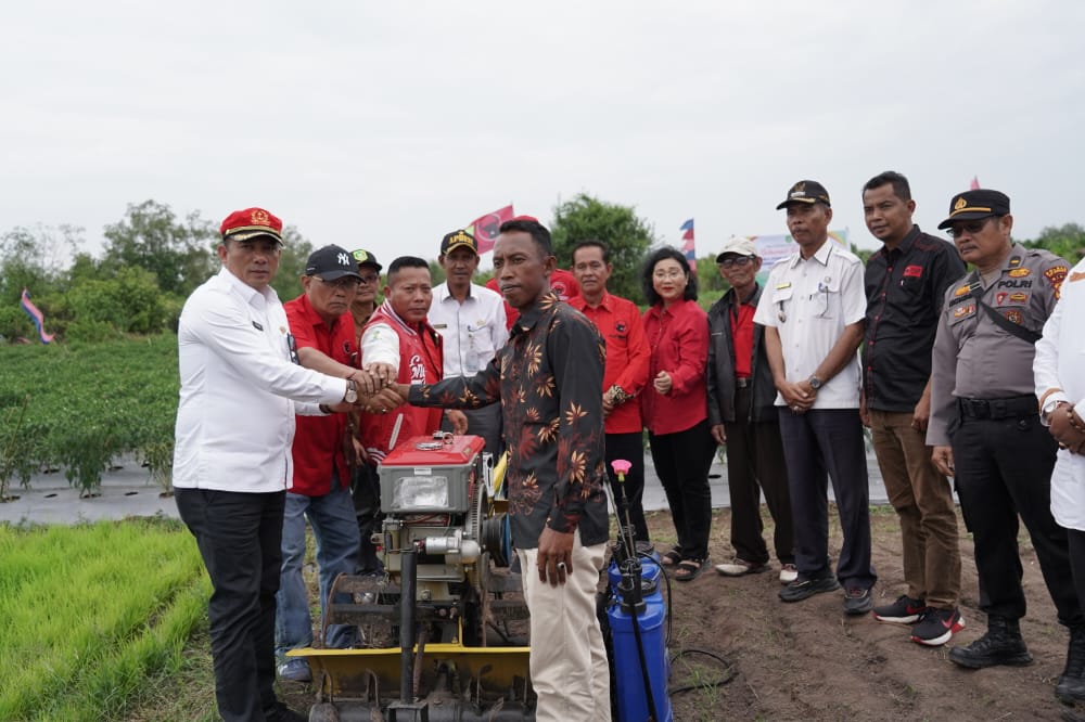 Panen Raya Cabe, Anggota DPR RI Kagum Pada Bupati Meranti HM Adil Peduli Masyarakat Kecil 